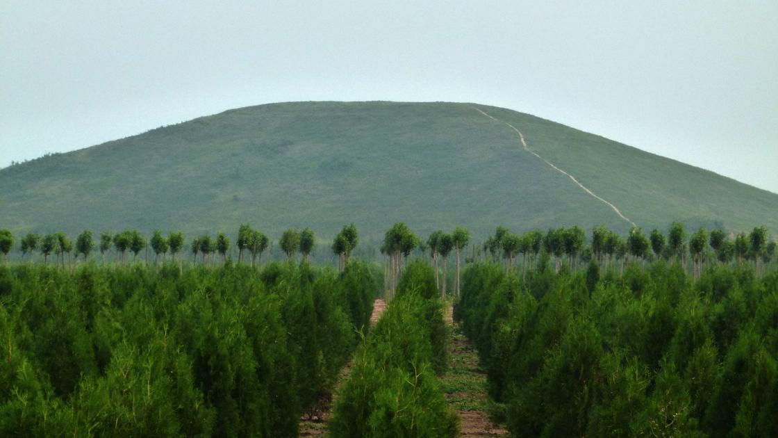 Курган