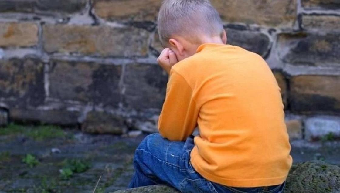 Изнасилование мальчика в селе Абай: 14-летнему насильнику грозит пожизненное Изнасилование мальчика в селе Абай: 14-летнему насильнику грозит пожизненное