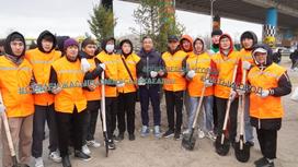Посадка деревьев