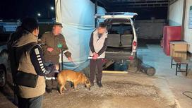 Задержание в Туркестанской области